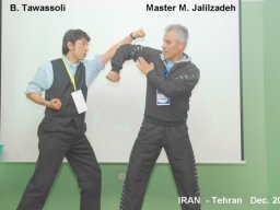 13_Master_Jalilzadeh_Tawassoli_2010