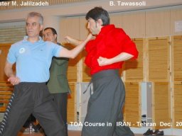 14_Master_Jalilzadeh_Tawassoli_2010